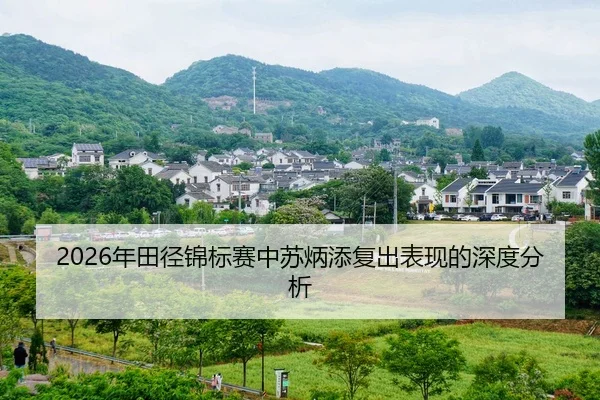 nian-tian-jing-jin-biao-sai-zhong-su-bing-tian-fu-chu-biao-xian-de-shen-du-fen-xi-2-801.jpg