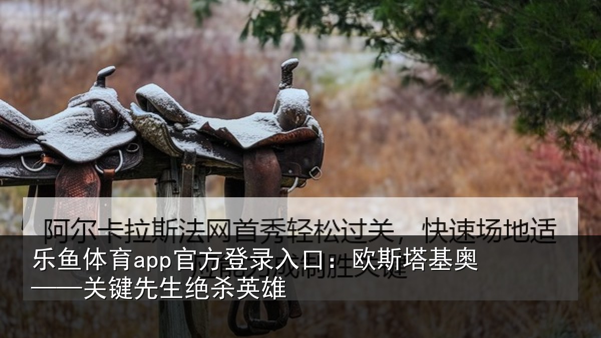 乐鱼体育app官方登录入口:欧斯塔基奥——关键先生绝杀英雄