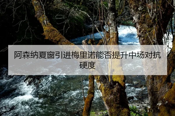 阿森纳夏窗引进梅里诺能否提升中场对抗硬度